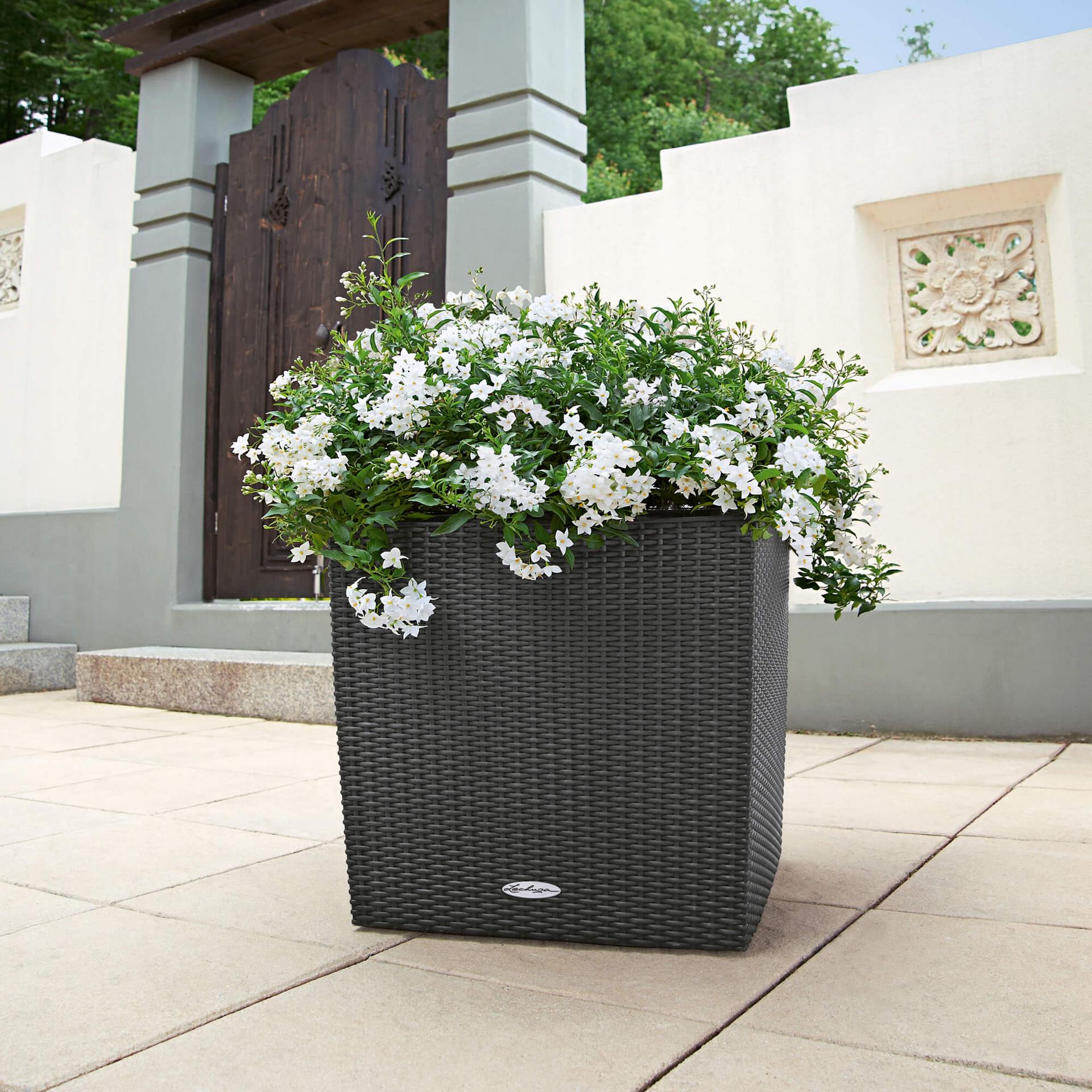 Lechuza CUBE Cottage 50 Komplettset granit Körbe